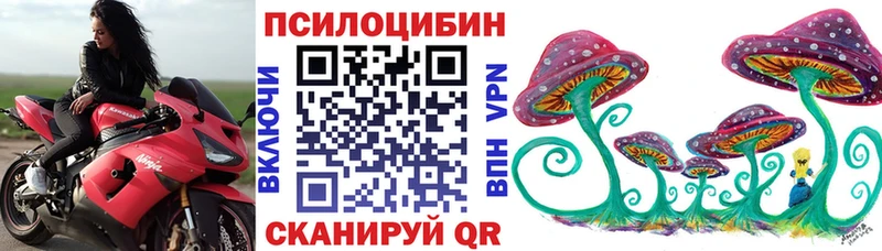 Псилоцибиновые грибы MAGIC MUSHROOMS Венёв