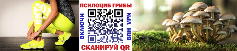 купить закладку  Венёв  Псилоцибиновые грибы ЛСД 